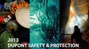 2013 DUPONT SAFETY & PROTECTION MARKETING IDEA CONTEST