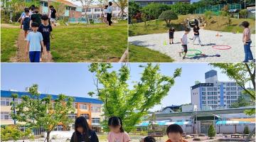 [디자인정글 칼럼] 운동장의 마법, 생태운동장: 흙먼지 운동장에서 자연의 교실로 - 밀주초등학교가 보여준 생태운동장의 혁신